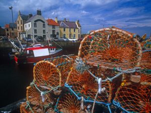 Eyemouth Harbour